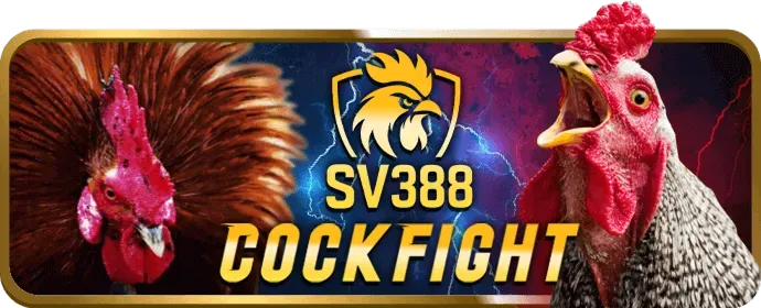 Khuyến mãi cá cược thể thao rick88 win